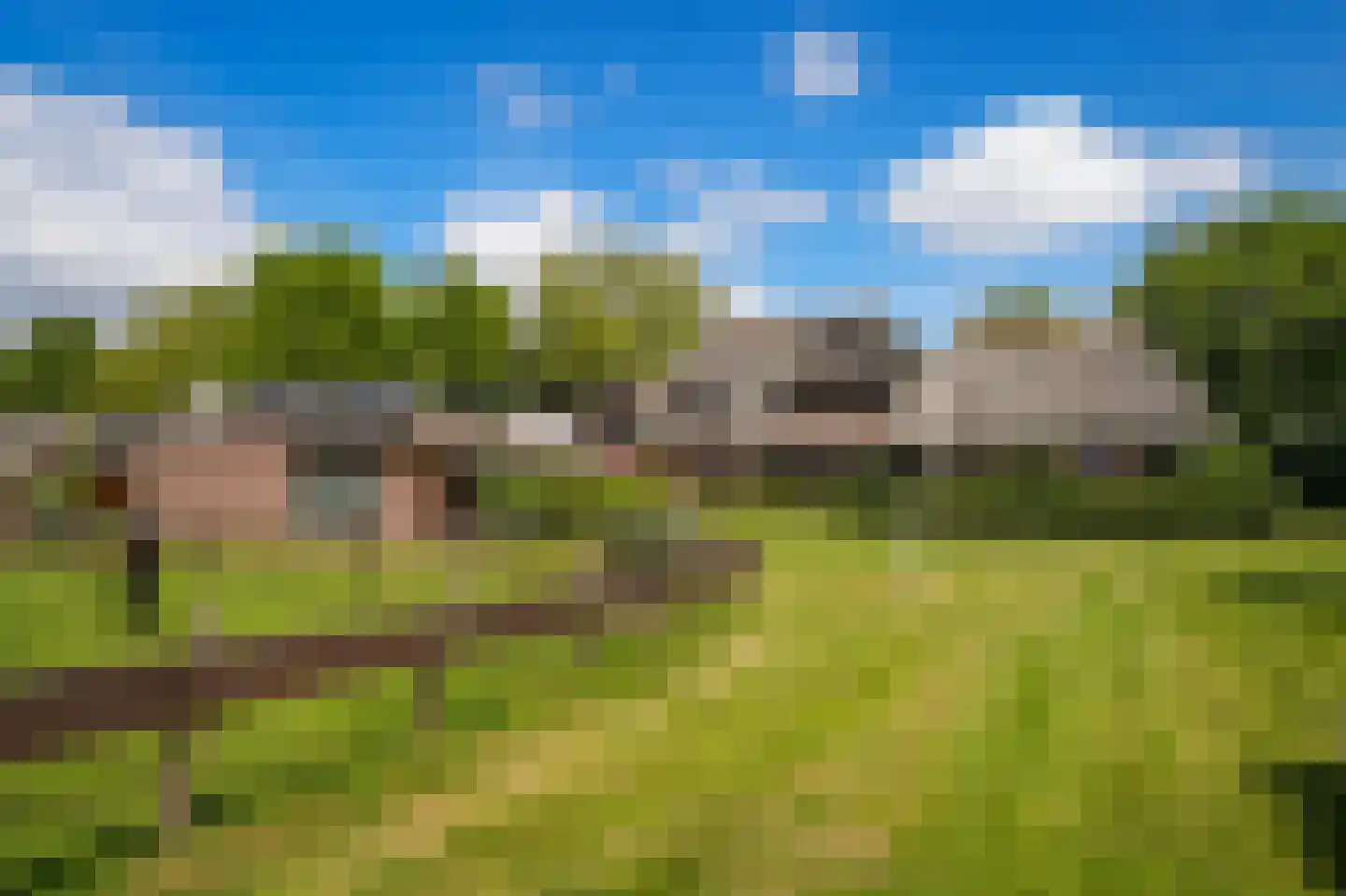 Vierzonenweg 13 Vroomshoop thumbnail 46