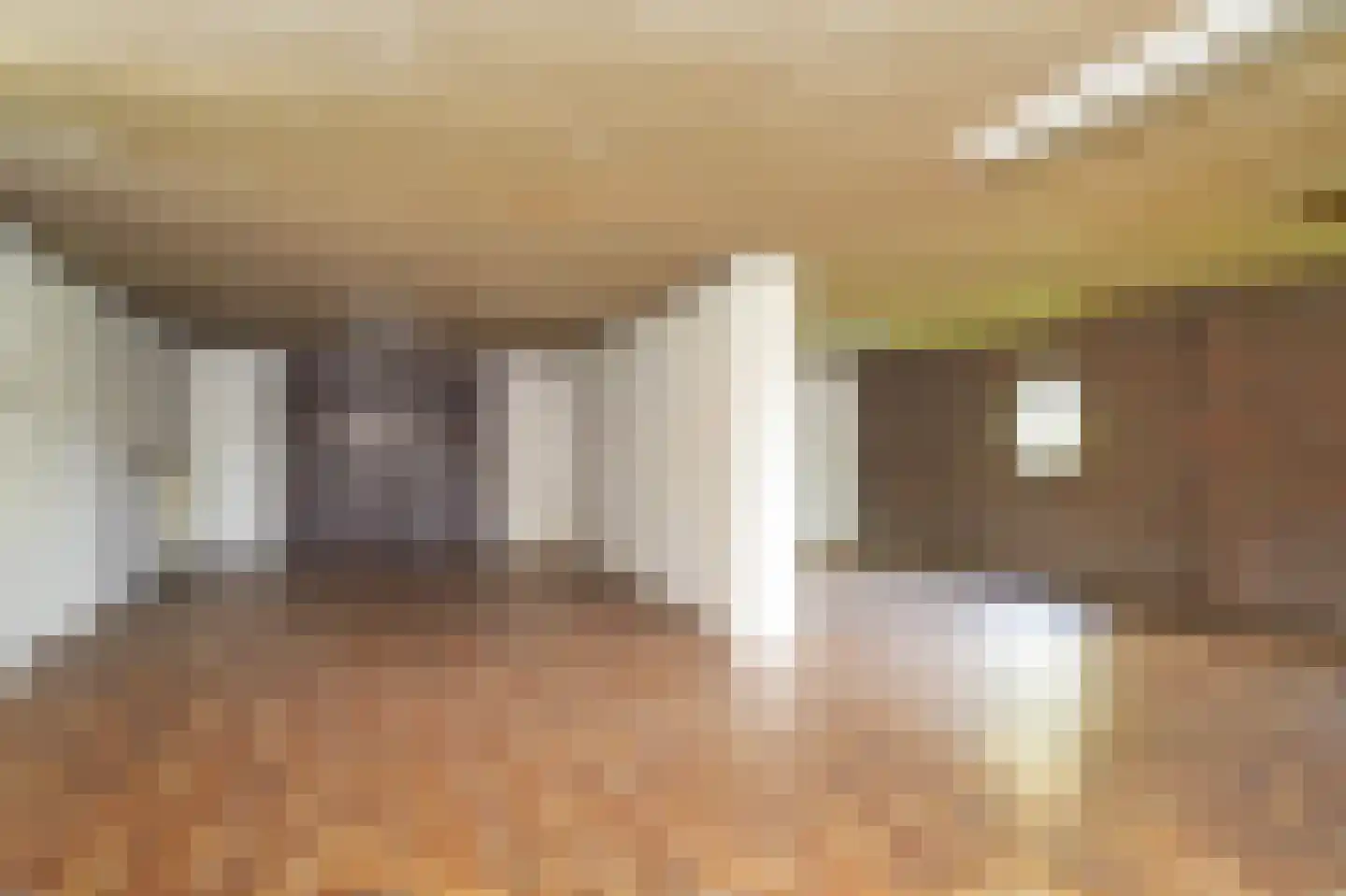 Vierzonenweg 13 Vroomshoop thumbnail 52