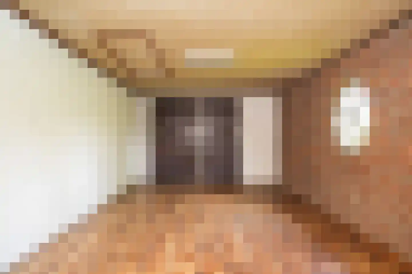 Vierzonenweg 13 Vroomshoop thumbnail 53