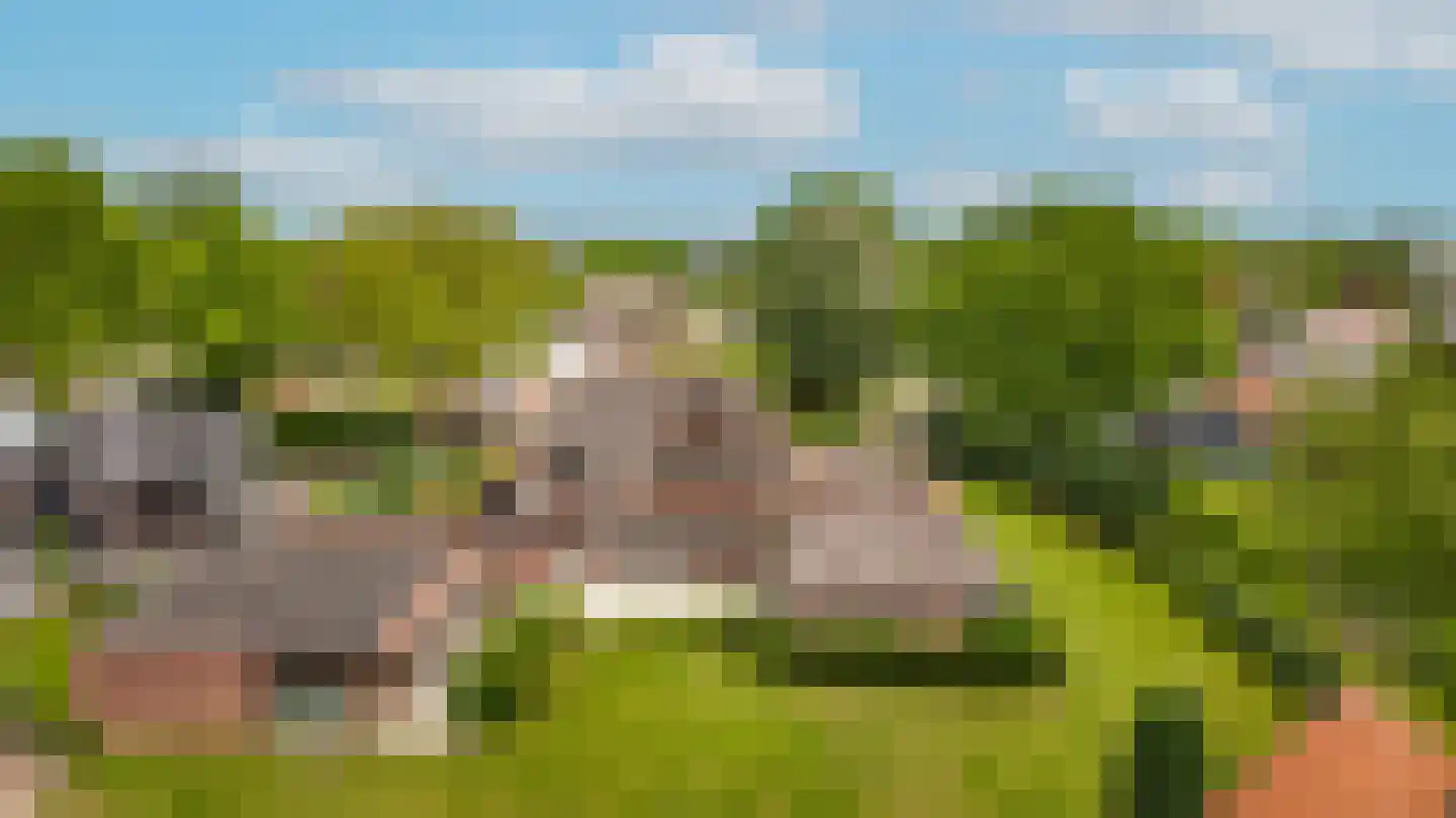 Vierzonenweg 13 Vroomshoop thumbnail 56