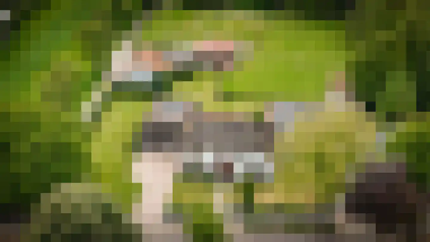 Vierzonenweg 13 Vroomshoop thumbnail 57