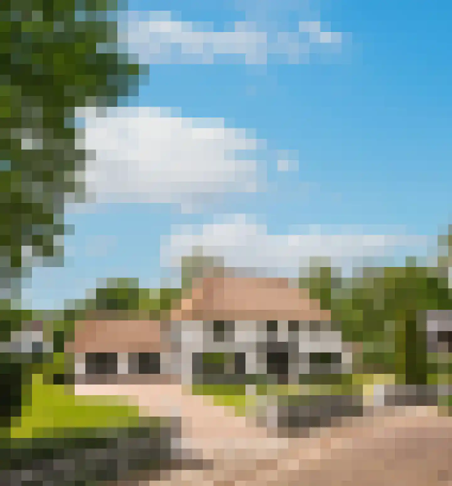 Vierzonenweg 13 Vroomshoop thumbnail 6