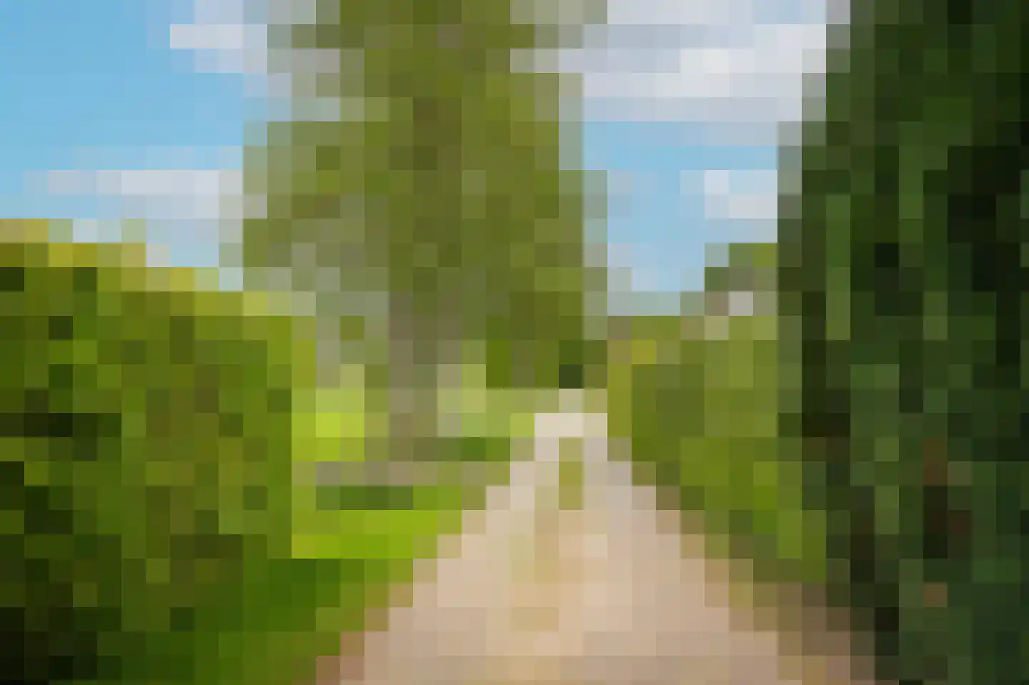 Vierzonenweg 13 Vroomshoop thumbnail 63