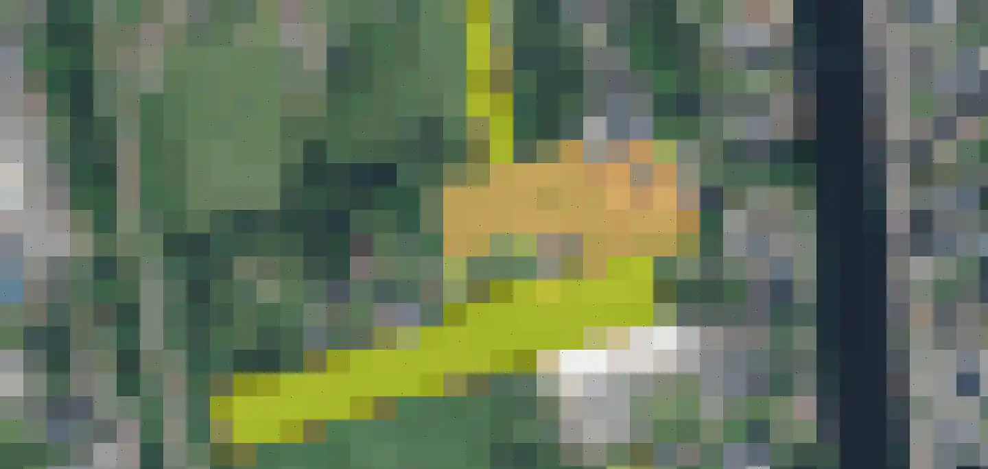 Vierzonenweg 13 Vroomshoop thumbnail 65
