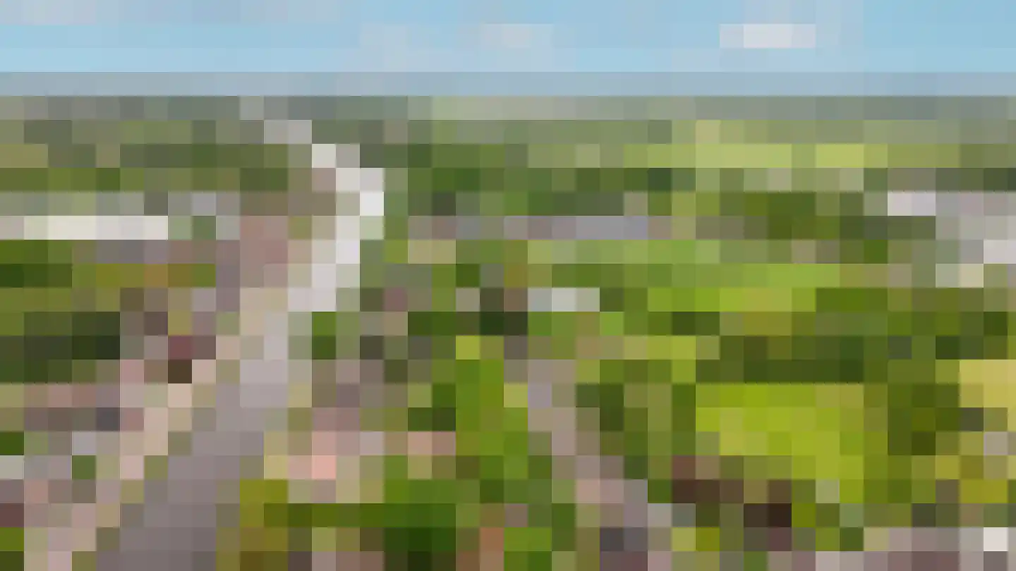 Vierzonenweg 13 Vroomshoop thumbnail 66