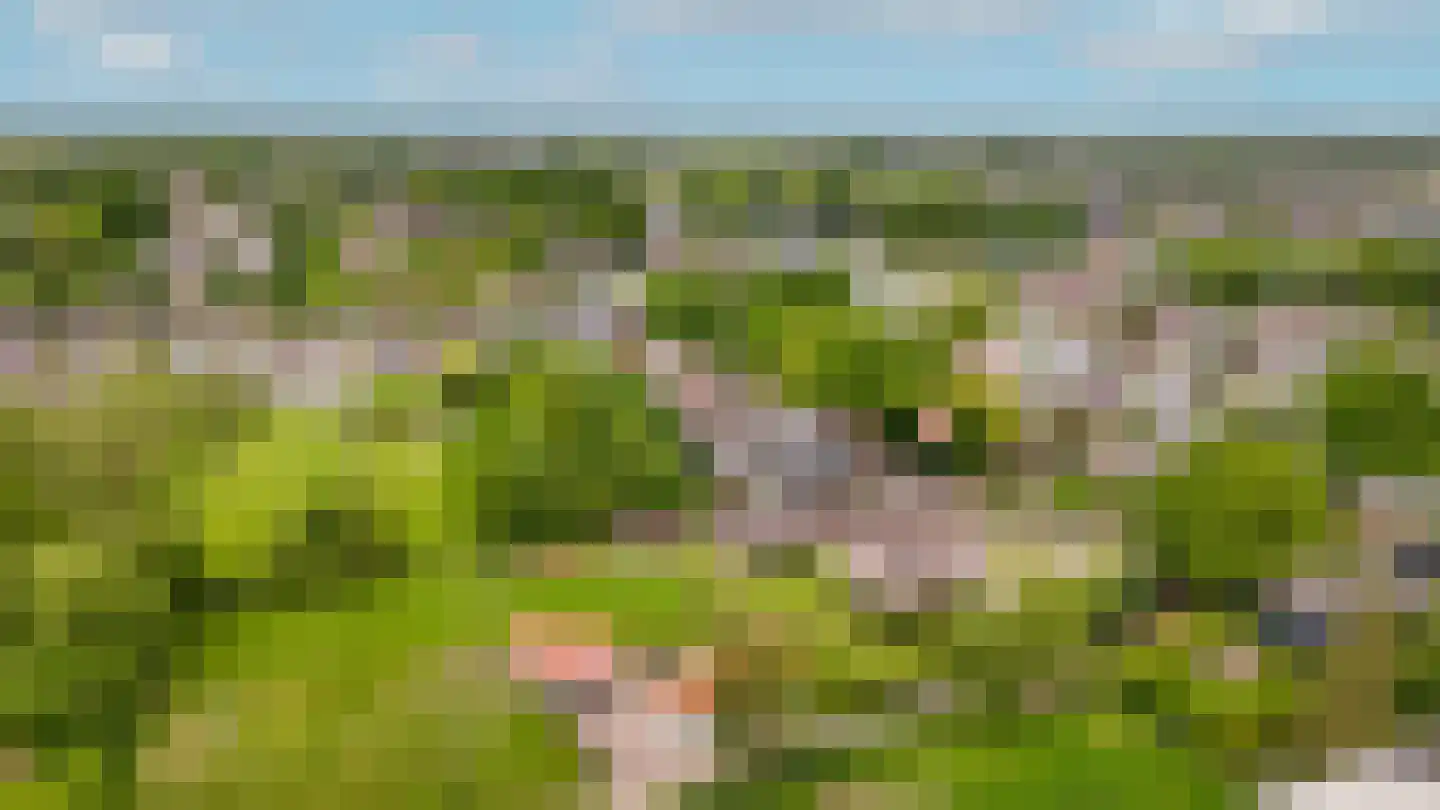 Vierzonenweg 13 Vroomshoop thumbnail 67