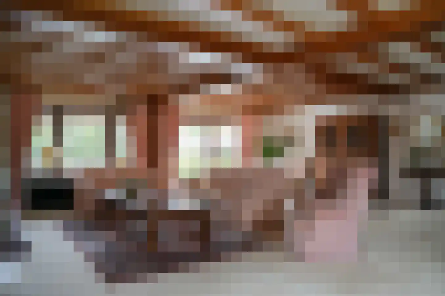Vierzonenweg 13 Vroomshoop thumbnail 7