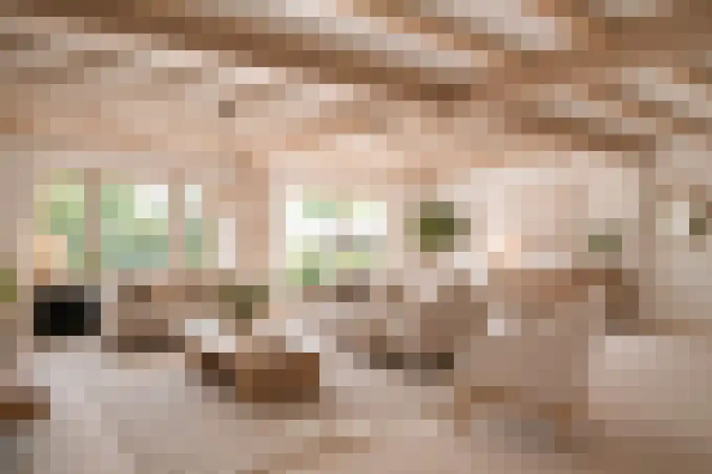 Vierzonenweg 13 Vroomshoop thumbnail 9