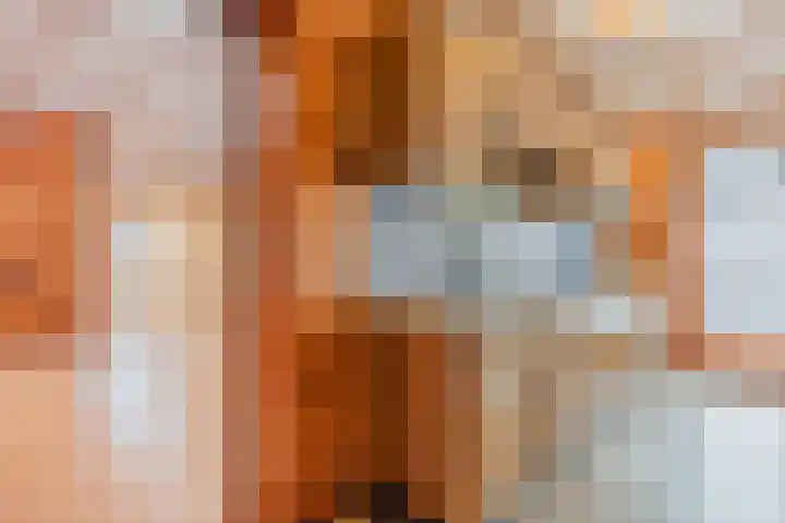 Vierzonenweg 32 Vroomshoop thumbnail 10
