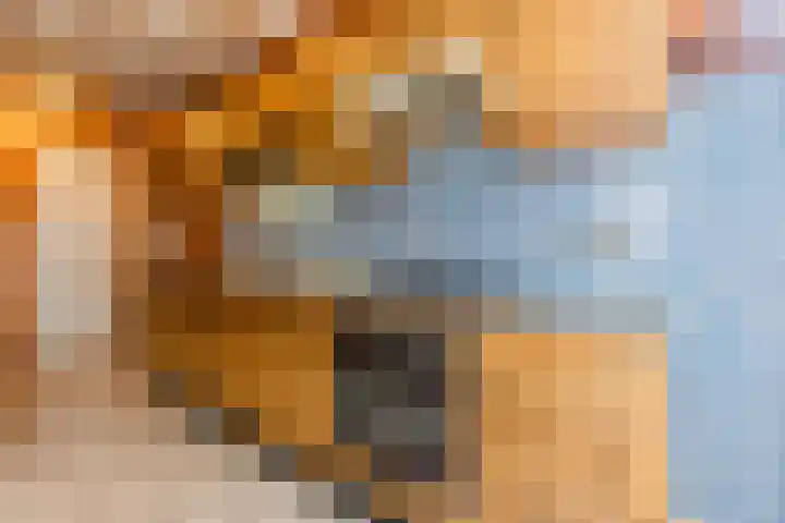 Vierzonenweg 32 Vroomshoop thumbnail 11