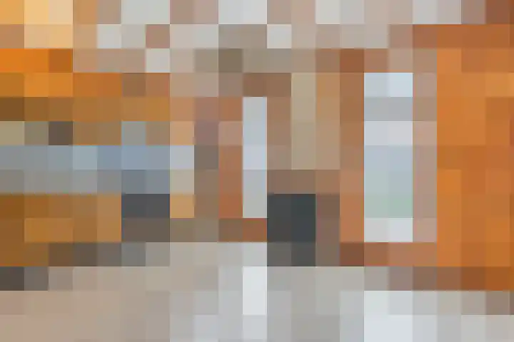 Vierzonenweg 32 Vroomshoop thumbnail 12