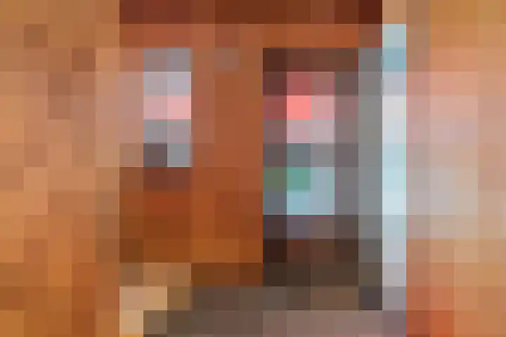 Vierzonenweg 32 Vroomshoop thumbnail 14