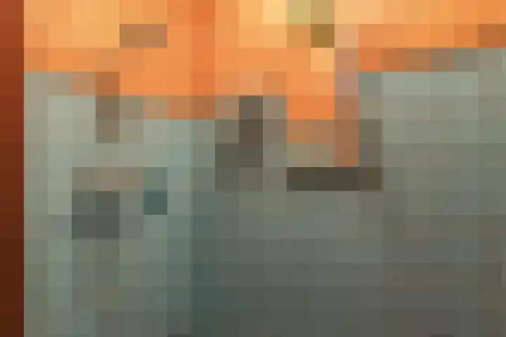 Vierzonenweg 32 Vroomshoop thumbnail 15