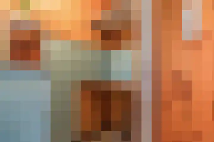 Vierzonenweg 32 Vroomshoop thumbnail 16
