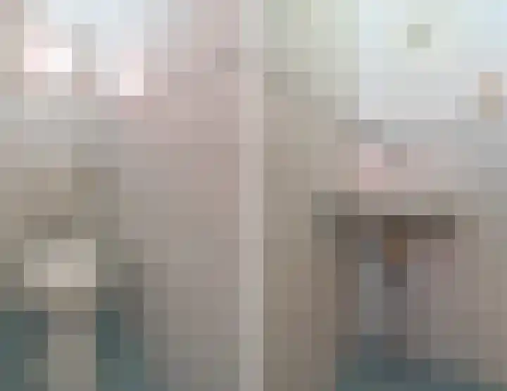 Vierzonenweg 32 Vroomshoop thumbnail 17