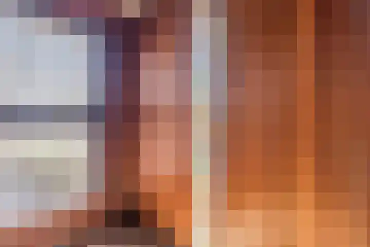 Vierzonenweg 32 Vroomshoop thumbnail 18