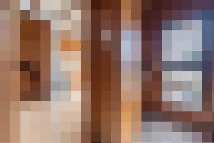 Vierzonenweg 32 Vroomshoop thumbnail 19