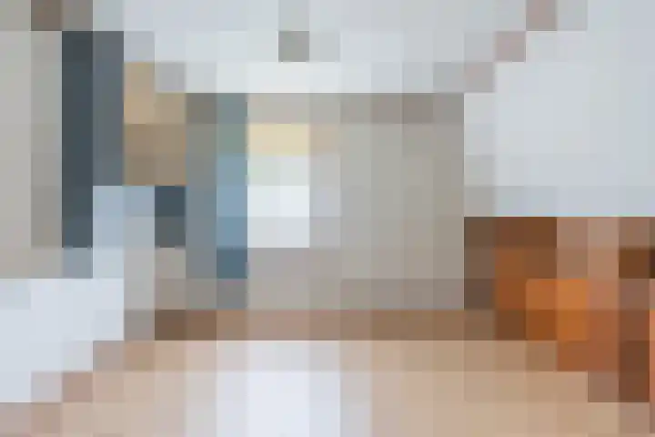 Vierzonenweg 32 Vroomshoop thumbnail 23