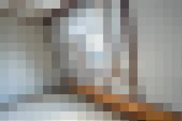 Vierzonenweg 32 Vroomshoop thumbnail 25