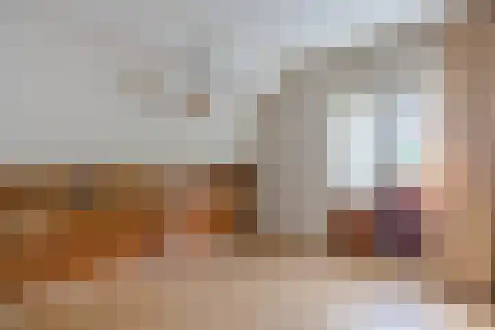 Vierzonenweg 32 Vroomshoop thumbnail 26