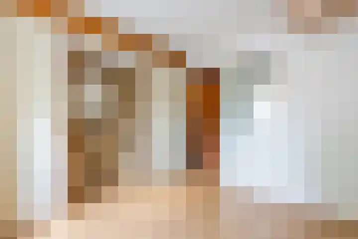 Vierzonenweg 32 Vroomshoop thumbnail 27