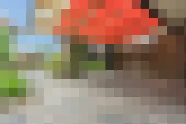 Vierzonenweg 32 Vroomshoop thumbnail 29