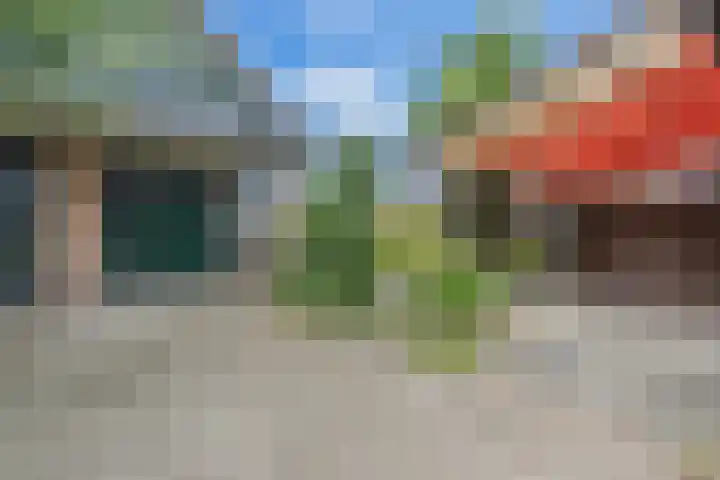 Vierzonenweg 32 Vroomshoop thumbnail 30