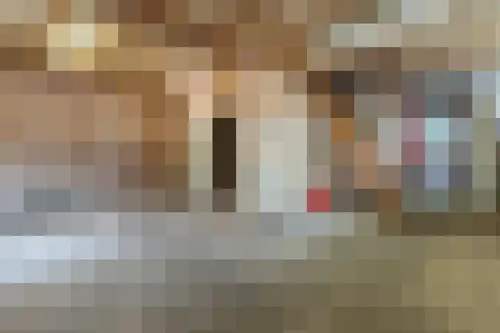 Vierzonenweg 32 Vroomshoop thumbnail 31
