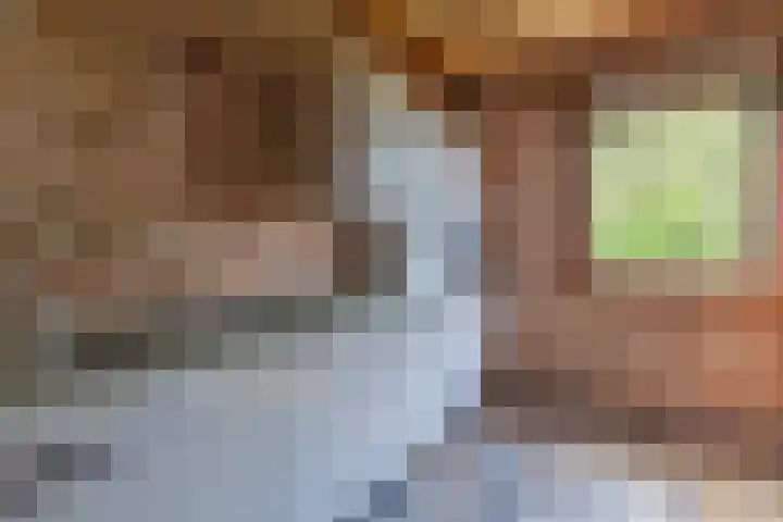 Vierzonenweg 32 Vroomshoop thumbnail 33