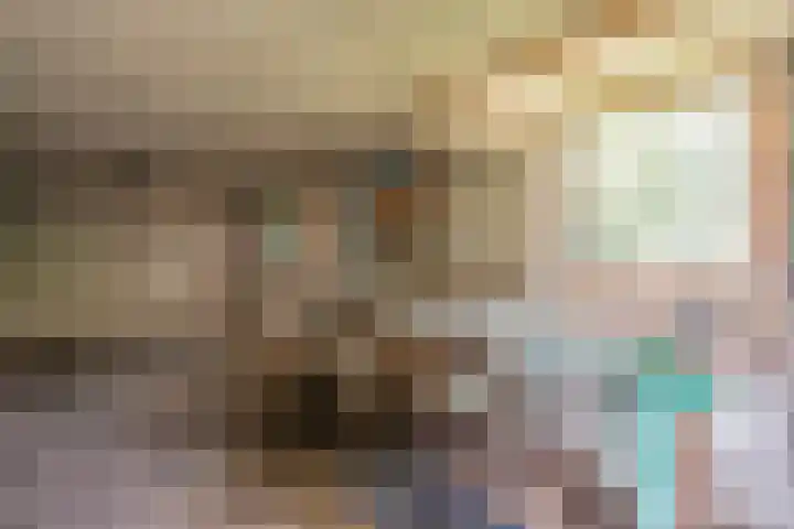 Vierzonenweg 32 Vroomshoop thumbnail 34