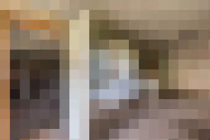 Vierzonenweg 32 Vroomshoop thumbnail 35