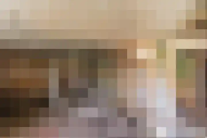 Vierzonenweg 32 Vroomshoop thumbnail 36
