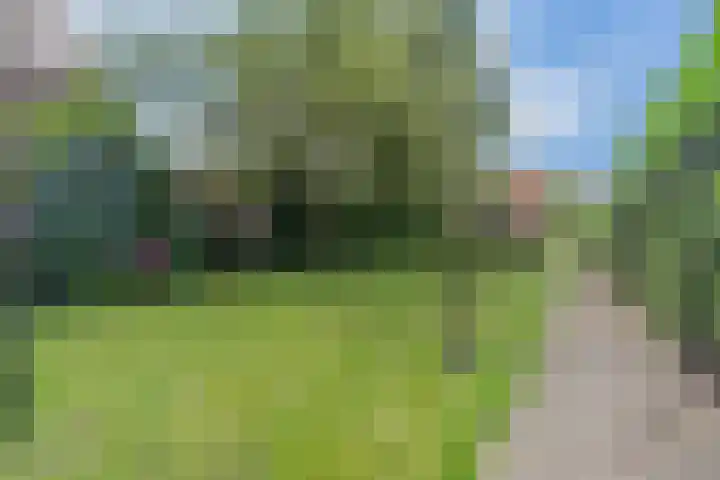 Vierzonenweg 32 Vroomshoop thumbnail 39