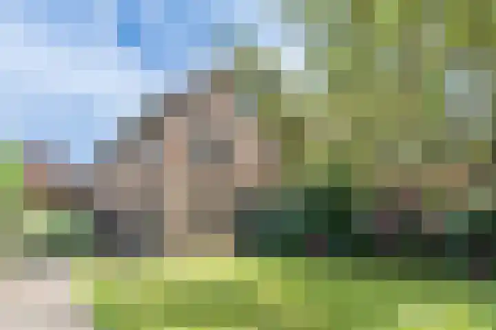 Vierzonenweg 32 Vroomshoop thumbnail 4