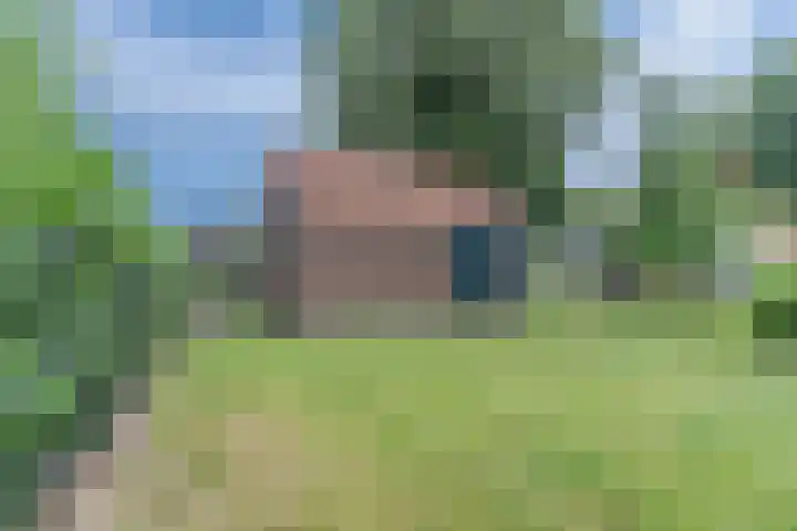 Vierzonenweg 32 Vroomshoop thumbnail 40