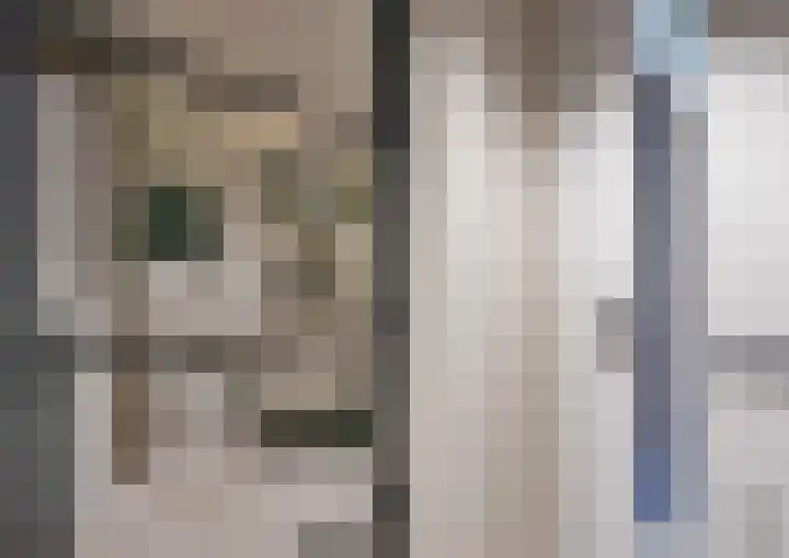 Vierzonenweg 32 Vroomshoop thumbnail 42
