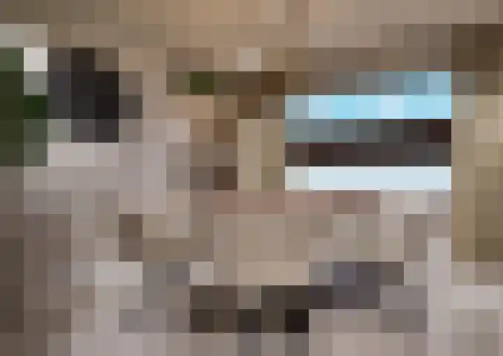 Vierzonenweg 32 Vroomshoop thumbnail 43