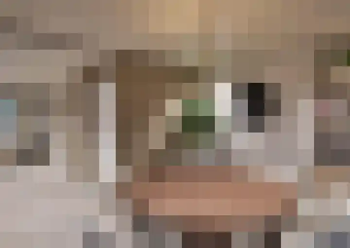 Vierzonenweg 32 Vroomshoop thumbnail 45
