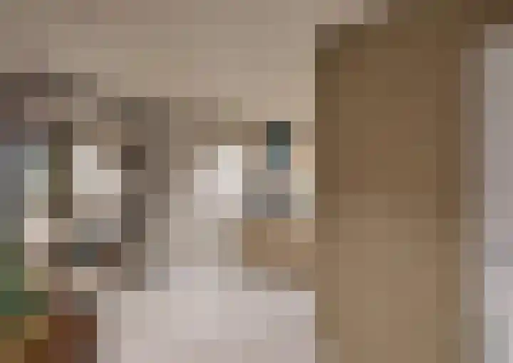 Vierzonenweg 32 Vroomshoop thumbnail 46