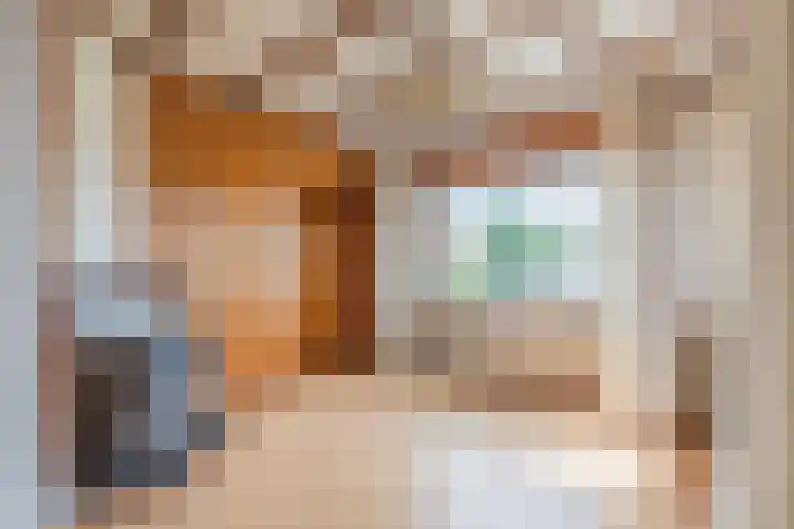 Vierzonenweg 32 Vroomshoop thumbnail 5