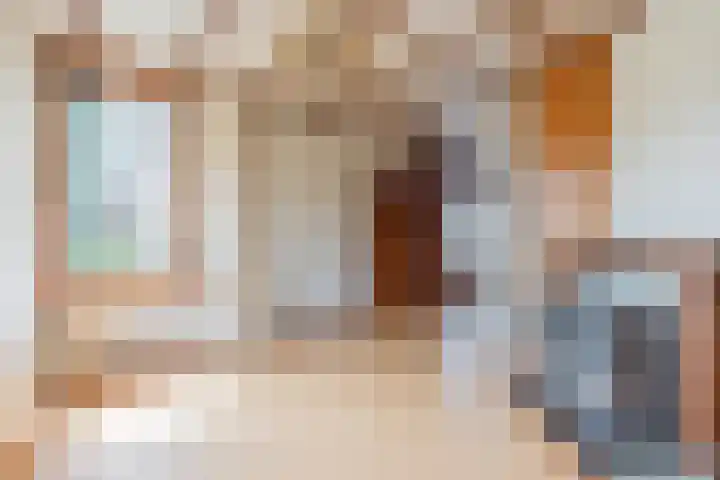 Vierzonenweg 32 Vroomshoop thumbnail 6