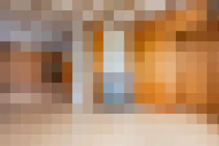 Vierzonenweg 32 Vroomshoop thumbnail 7