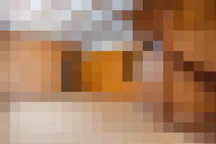 Vierzonenweg 32 Vroomshoop thumbnail 8