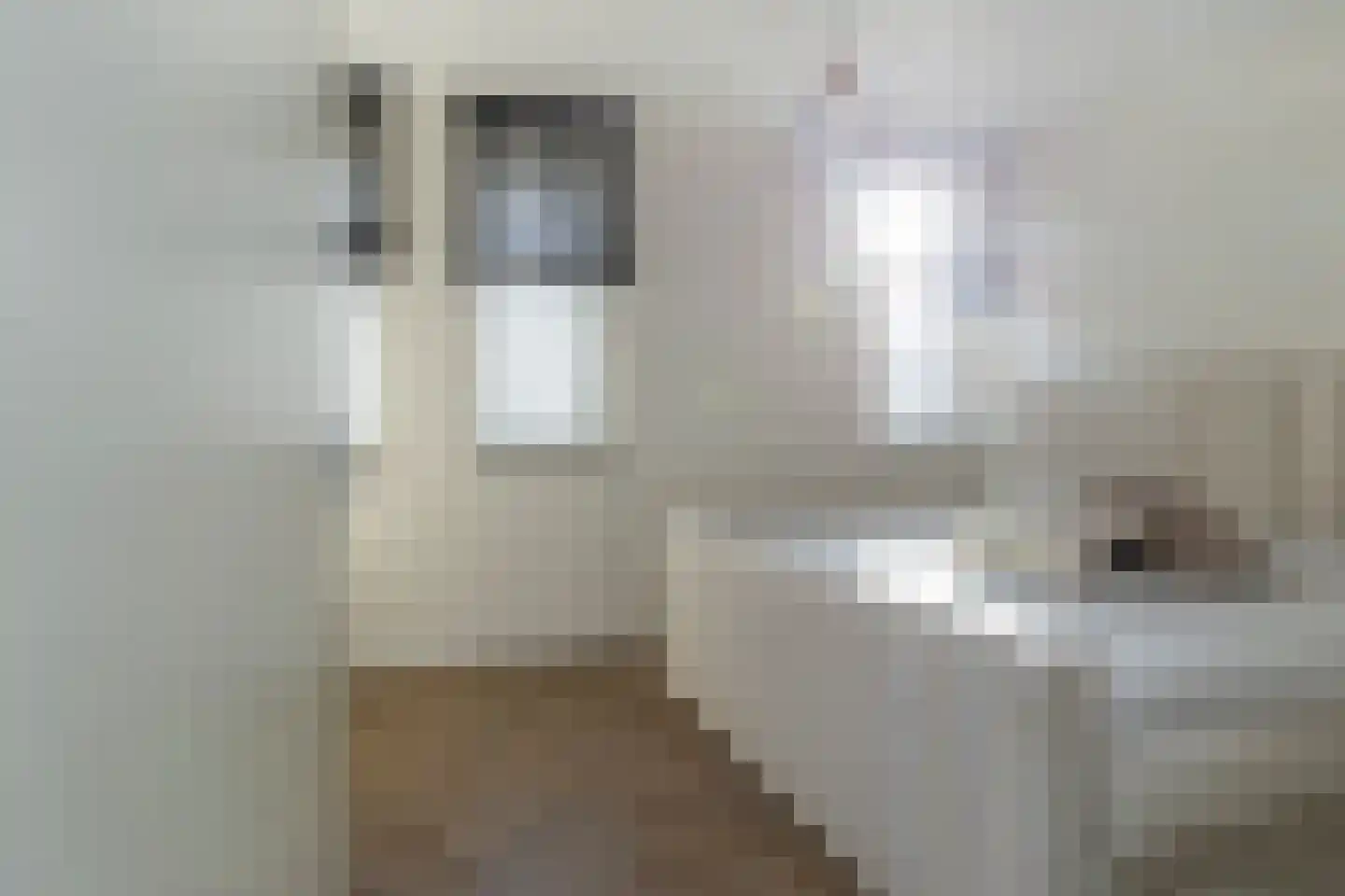 Vigelandstraat 124 Den Haag thumbnail 21