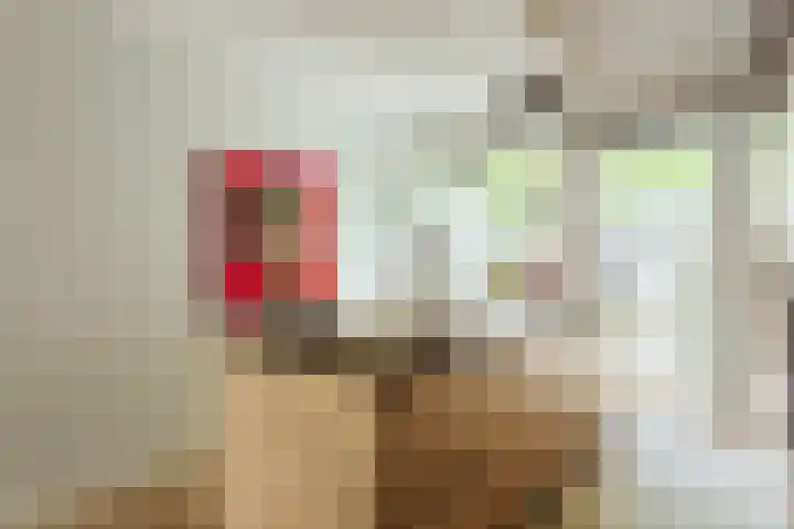 Vigelandstraat 3 Den Haag thumbnail 10