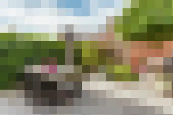Vigelandstraat 3 Den Haag thumbnail 17