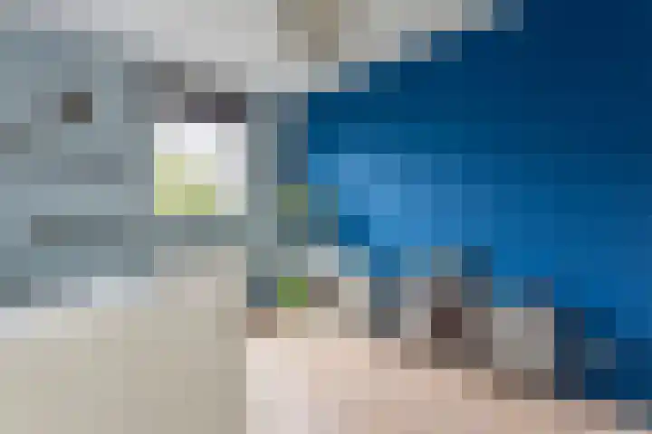 Vigelandstraat 3 Den Haag thumbnail 30