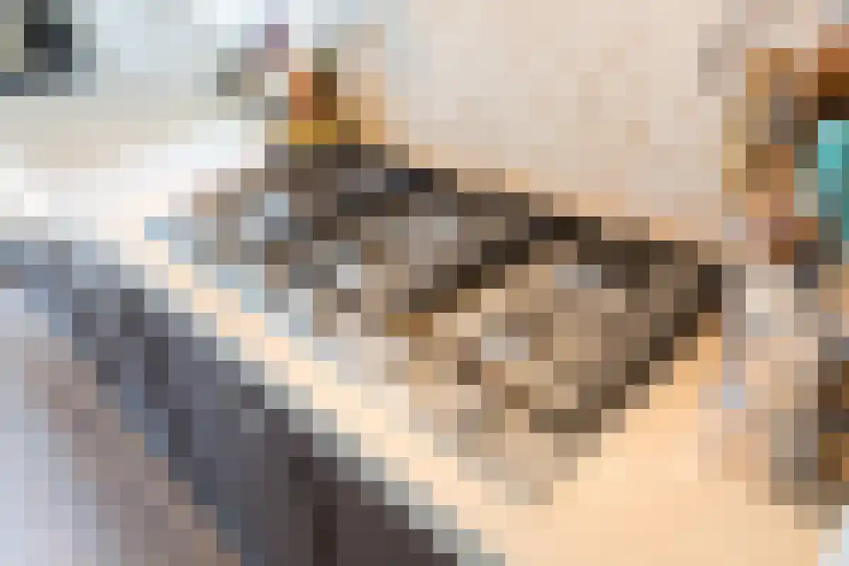 Vigelandstraat 5 Den Haag thumbnail 6