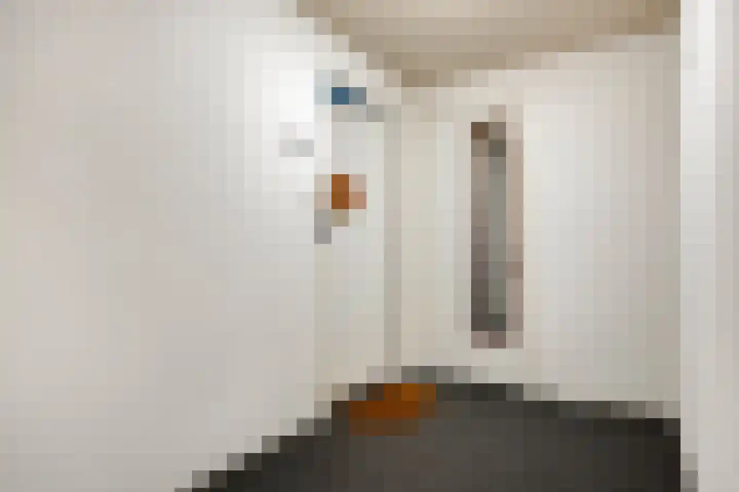 Vigelandstraat 50 Den Haag thumbnail 8
