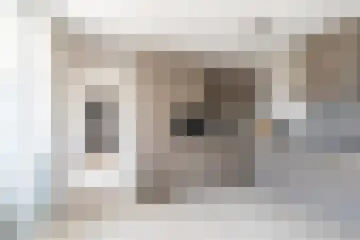 Vigelandstraat 8 Den Haag thumbnail 13